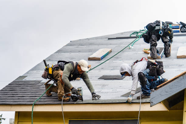 Professional Roofing technician working in Holtsville, NY